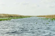Miami Everglades & Key West 3-Day Tour thumbnail 4