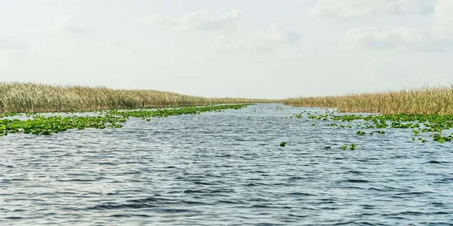 Miami Everglades & Key West 3-Day Tour - Image 4