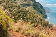 Kauai Scenic Horseback Ride thumbnail 3