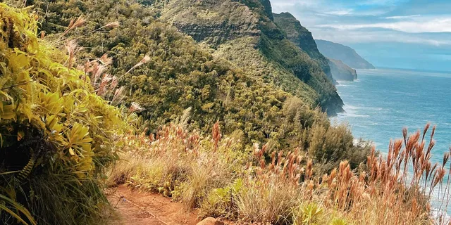 Kauai Scenic Horseback Ride - Image 3