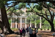 New Orleans Oak Alley Plantation Tour with Transportation thumbnail 3