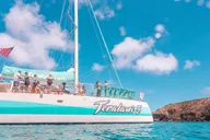Maui Whale Watching Tour from Ka'anapali Beach thumbnail 2