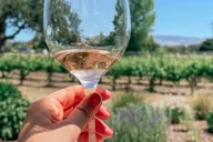 Santa Ynez Private Wine Tour thumbnail 2