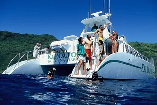 Oahu Snorkel Cruise with Whale & Dolphin Watch