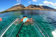 Maui Clear Kayak and Snorkel Tour at Olowalu thumbnail 4