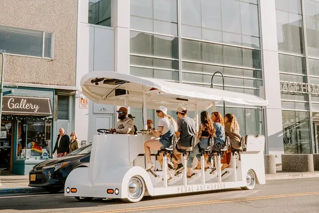 Anchorage Electric Vehicle Tour - Image 1