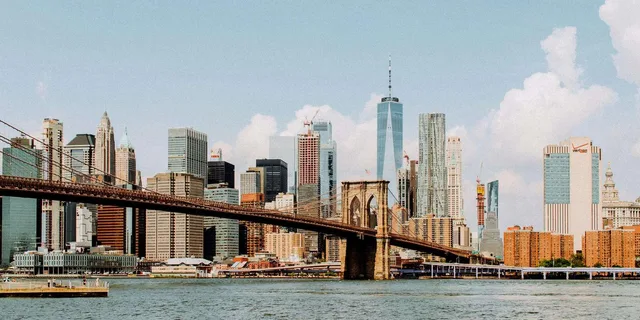 New York City Minivan Tour - Image 5