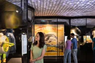 Los Angeles Natural History Museum Entry + Orcas Exhibition thumbnail 4