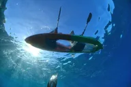 Maui Clear Bottom Kayak Rental thumbnail 6