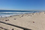 Anaheim Whale-Watching and Orange County Beaches Tour thumbnail 6