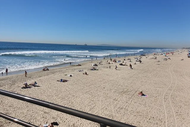 Anaheim Whale-Watching and Orange County Beaches Tour - Image 6