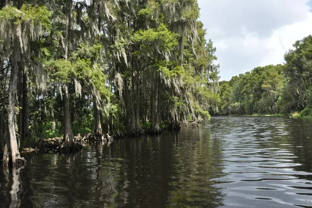 Orlando Everglades Airboat Tour 90 Min - Image 4