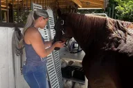 Miami Horseback Riding Tour with Instructor 1 hr thumbnail 5