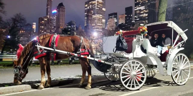 New York Central Park Christmas Lights Carriage Ride 45 min - Image 2