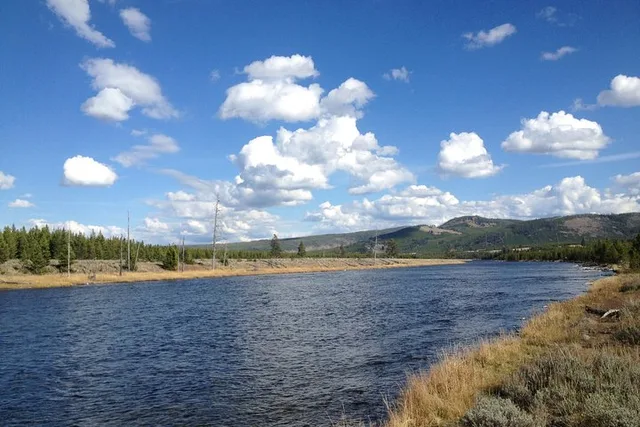 Yellowstone Wade Fishing Trip Full Day - Image 3