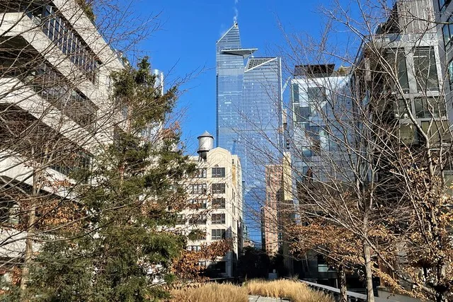 New York High Line and Hudson Yards Tour - Image 2