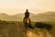 Phoenix Desert Horseback Ride with Lunch thumbnail 1