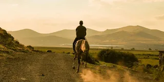 Phoenix Desert Horseback Ride with Lunch