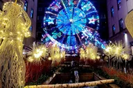 New York City Holiday Lights Walking Tour thumbnail 6