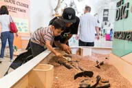 Los Angeles Natural History Museum Cat Exhibition thumbnail 3