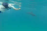 Kauai Sea Kayaking Tour Na Pali Iki 10 Mile thumbnail 4