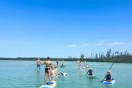 Sarasota Mangrove Kayak Tour to Hidden Beach thumbnail 6