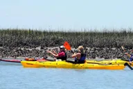 Charleston Kayak Eco Tour 2 hr thumbnail 4