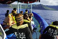 Oahu Swimming with Wild Dolphins Adventure thumbnail 5