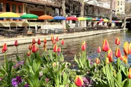 San Antonio Riverwalk and Downtown Walking Tour thumbnail 2