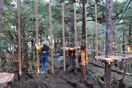 Sitka Aerial Adventure Ropes Course 2 hr thumbnail 4