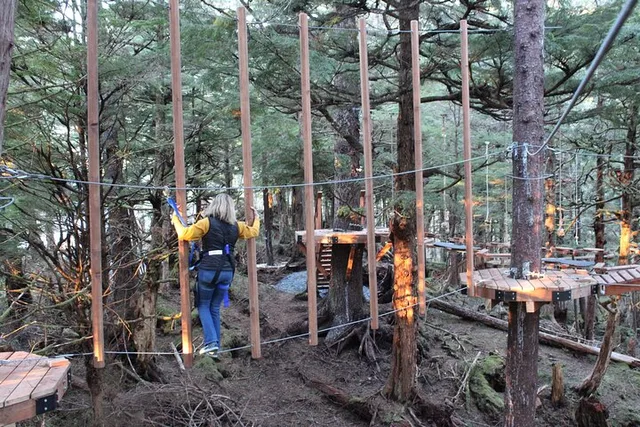 Sitka Aerial Adventure Ropes Course 2 hr - Image 4