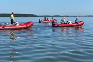 Hilton Head Mini Boat Tour to Disappearing Island thumbnail 6