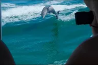 St. Petersburg Shell Key Island Adventure thumbnail 6