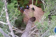 Seward Canopy Zipline Adventure thumbnail 5