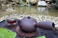 Santa Barbara Trail Hike and Tea Ceremony thumbnail 3