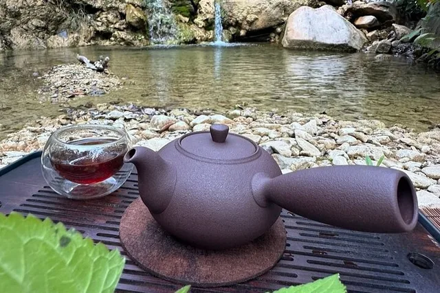 Santa Barbara Trail Hike and Tea Ceremony - Image 3