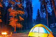 Seattle Canadian Rockies National Parks 7-Day Tour thumbnail 6
