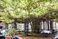 New Orleans Jazz Brunch Buffet at Court of Two Sisters thumbnail 4