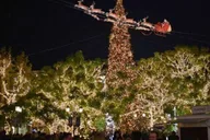 Los Angeles Holiday Lights Tour with Festive Drink thumbnail 3