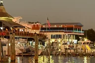 Destin Harbor Boat Ride and Dolphin Watching thumbnail 3