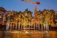 Los Angeles Holiday Lights Tour with Festive Drink thumbnail 4