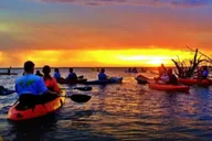 Cocoa Beach Bioluminescence Kayak Tour 90 Min thumbnail 5