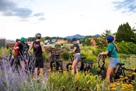Roanoke Ebike Food Tour thumbnail 5