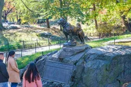 New York Central Park Pedicab Tour 2 hr thumbnail 6