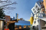 Boston and Cambridge Private City Tour thumbnail 5