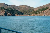 San Francisco Alcatraz Island Cruise 90 min thumbnail 6