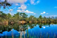 Florida Keys Nature and Wildlife Tour thumbnail 1