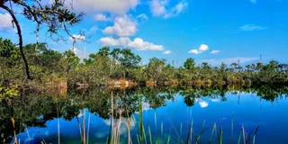 Florida Keys Nature and Wildlife Tour
