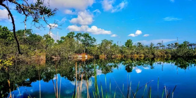 Florida Keys Nature and Wildlife Tour - Image 1