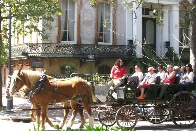 Savannah Horse-Drawn Carriage Tour - Image 6